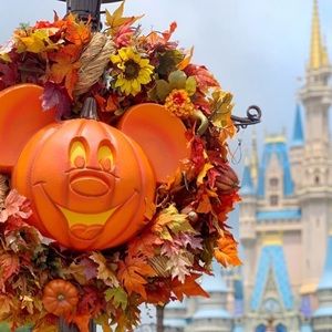 Meet your Posher, Dori